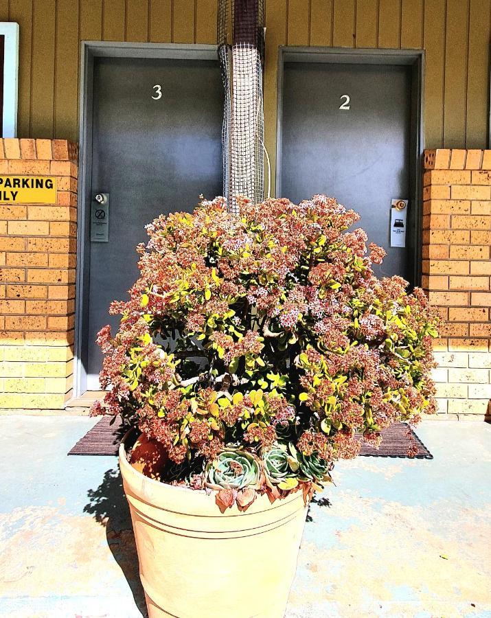 Goldrush Motel Young Cbd Dış mekan fotoğraf
