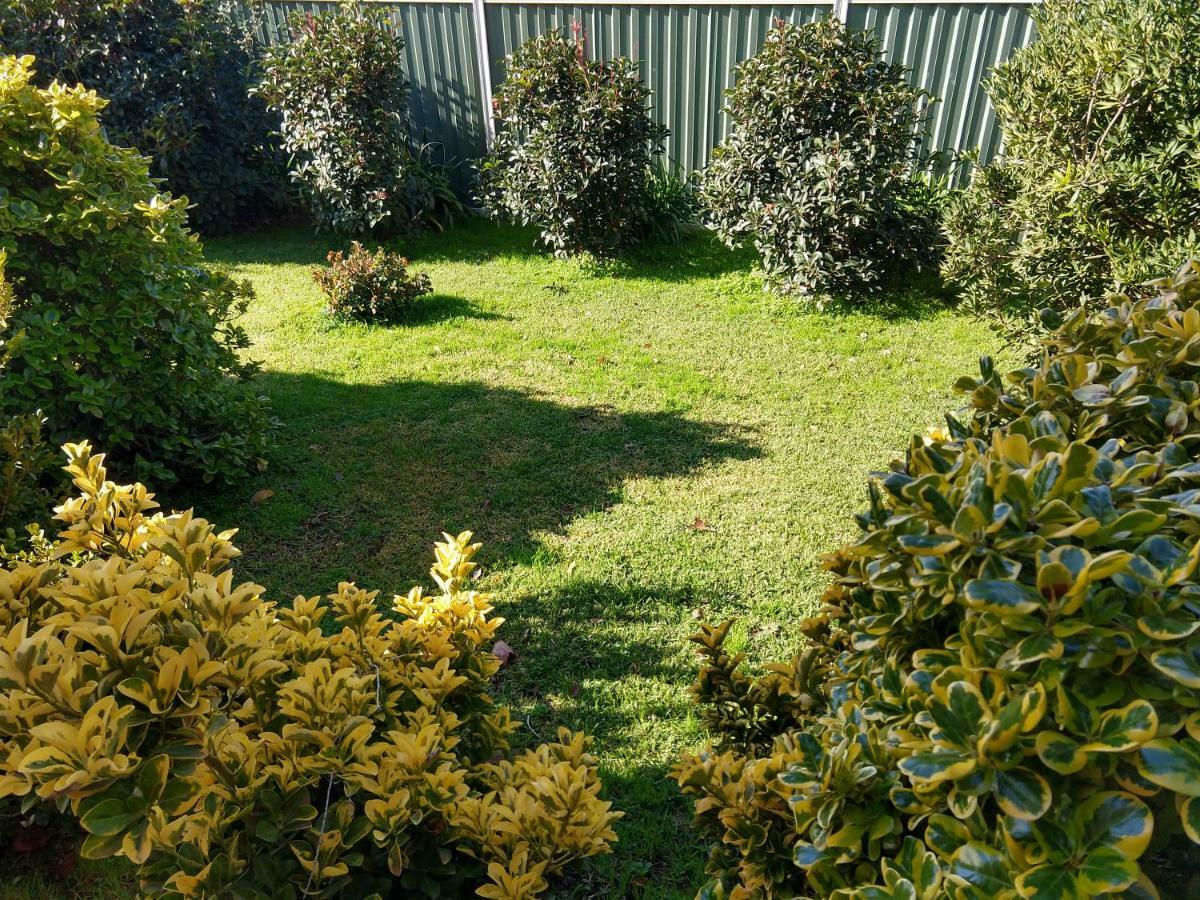Goldrush Motel Young Cbd Dış mekan fotoğraf